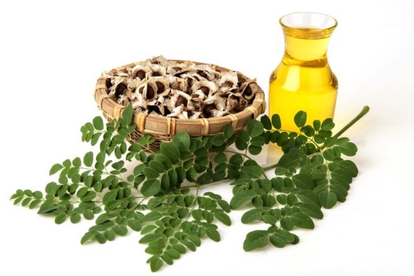 moringa-oil moringa-oil